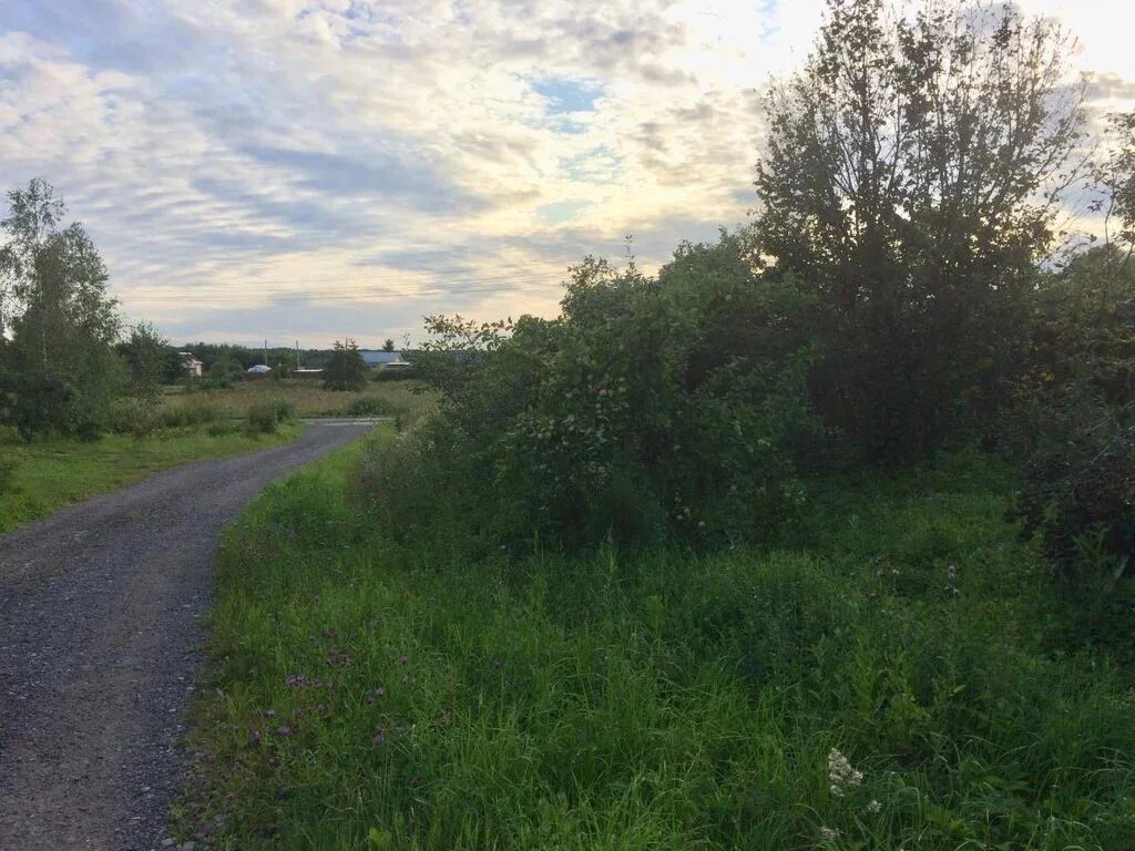 Коломенский район д. Гришино. Снт южное чеховский район гришино. Погода гришино чеховский. Погода гришино чеховский.