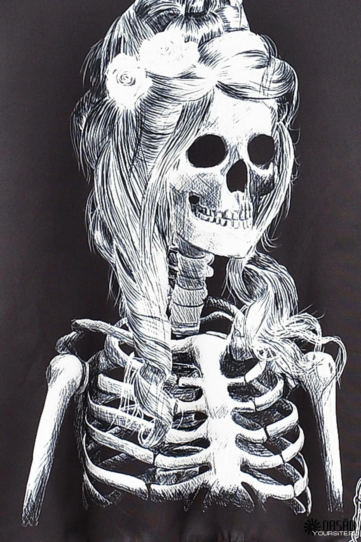 Скелет рентген.