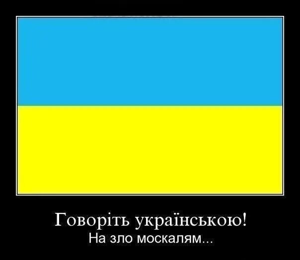 Символ даунов Украина. Флаг даунов. Желто синий флаг даунов. Символ даунов и флаг Украины. Украина дауны