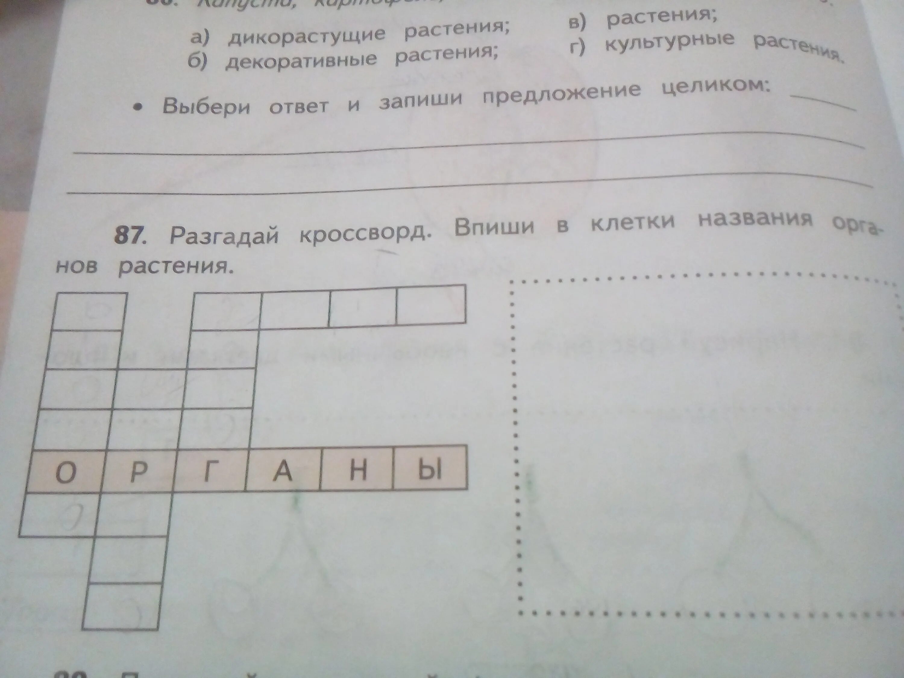 Разгадай кроссворд впиши в клетки названия. Разгадай кроссворд впиши в клетки названия органов. Впишите в клеточки названия растений. Разгадай кроссворд впиши. Разгадай кроссворд описание чьей либо жизни