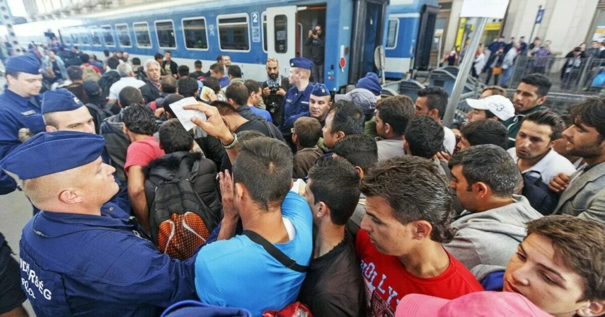 Когда мигранты вырежут нас?. Мигранты из средней азии в москве. Беженцы из украины в польше. Видео с мигрантами. Мигранты в европе.