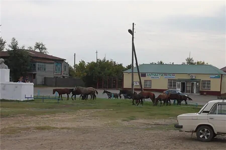 Площадь свободы Звериноголовского района. Церковь село Звериноголовское. Село Звериноголовское Курганской области. Звериноголовское архив.