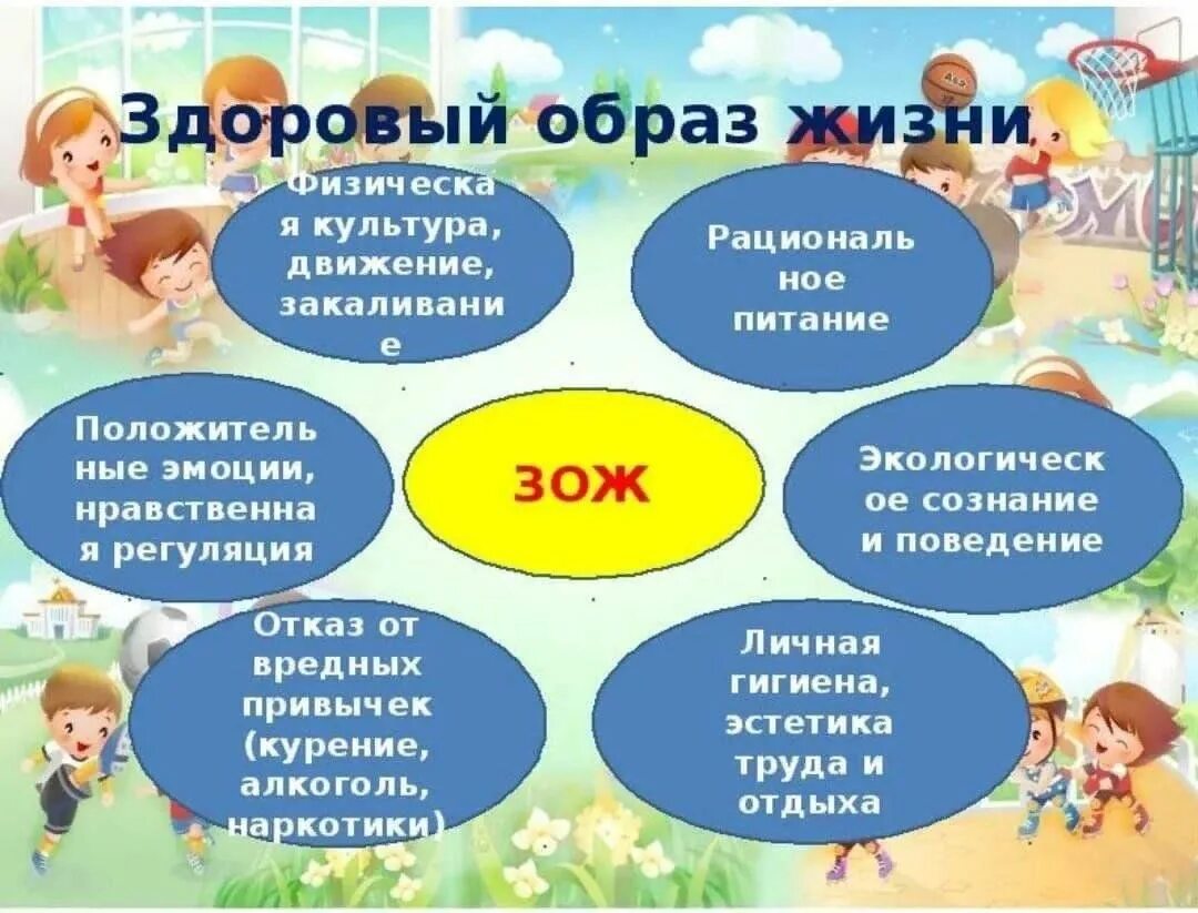 Проект зож 7 класс