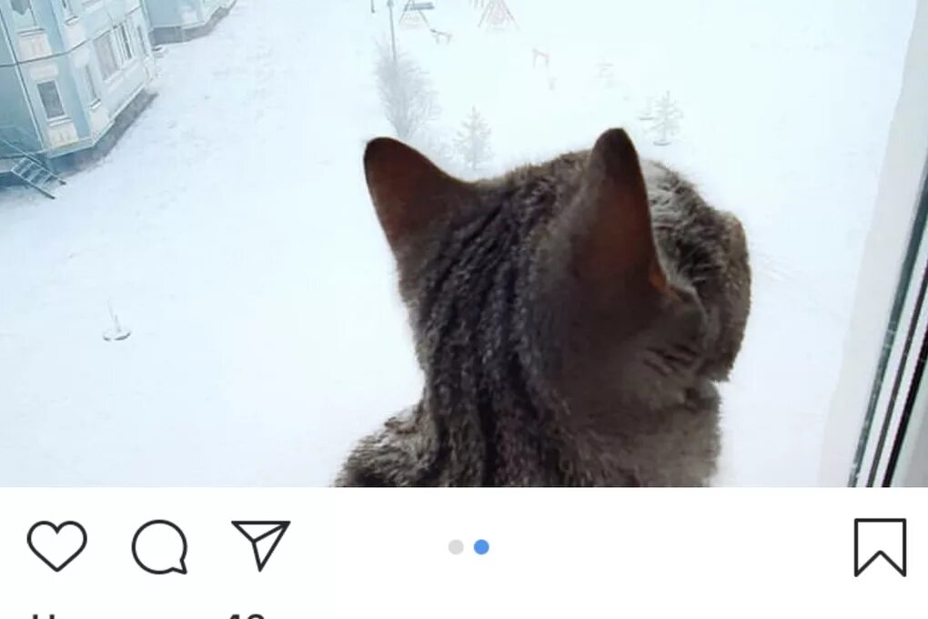 Наконец то снег. Наконец то зима. ну наконец то снег. ну наконец-то зима.