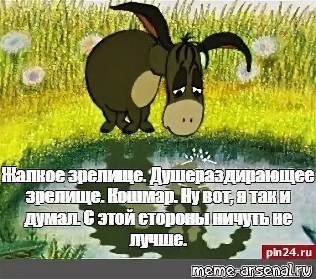 Удручающее зрелище. Душераздирающее зрелище ослик иа. ослик иа жалкое зрелище. жалкое зрелище, душераздирающее, кошмар. винни пух душераздирающее зрелище.