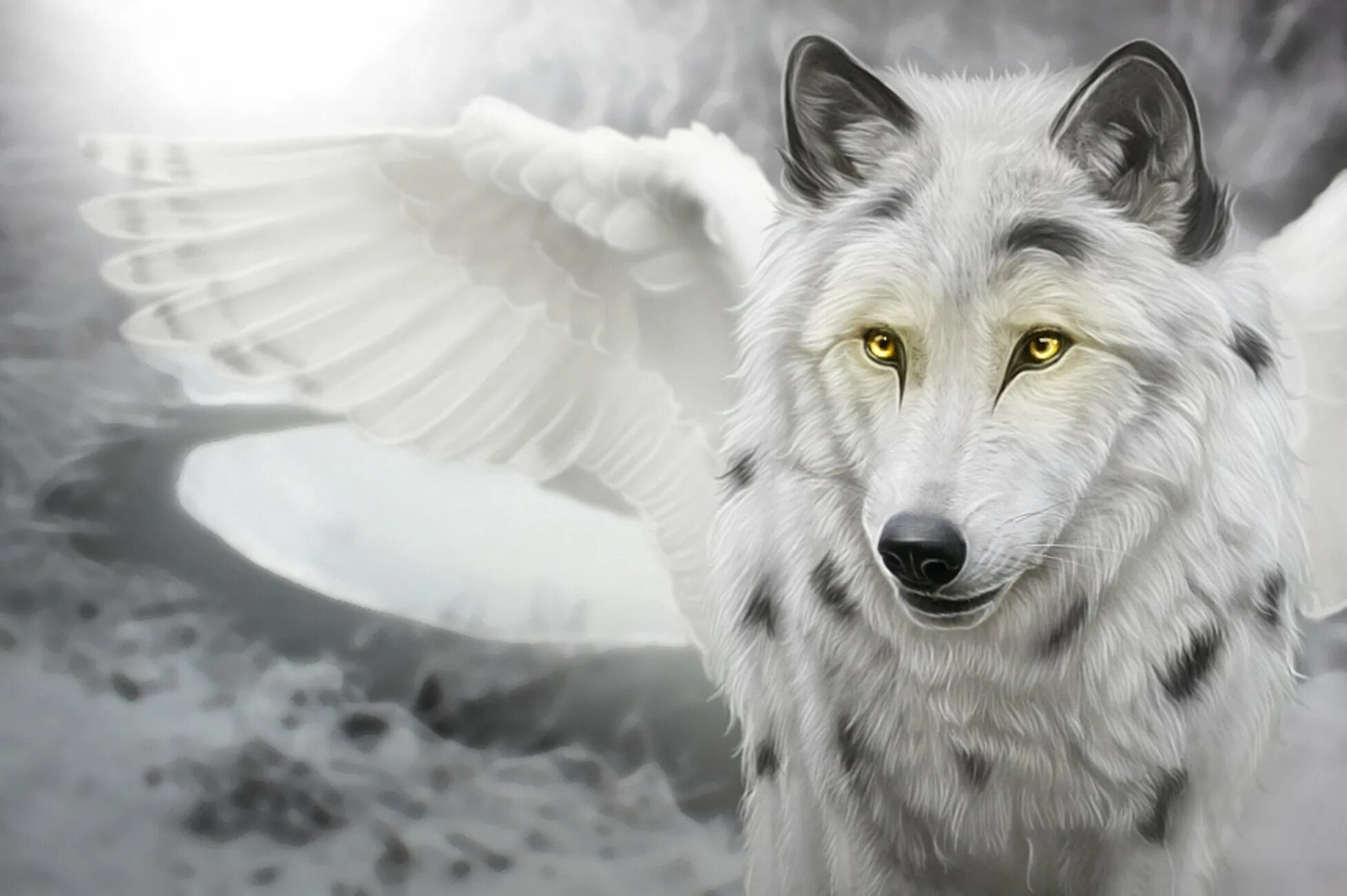 Крылатый волк. Волк Симуран. Симураны крылатые волки. Симуран волчица. Волк с крыльями.