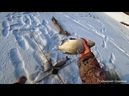 Хапуга рыболовные войска