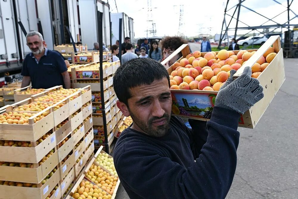 Армяне продали армян. Дагестанские фрукты. Армяне торговцы на рынке. Азербайджанцы на рынке. Азербайджанец продает фрукты.