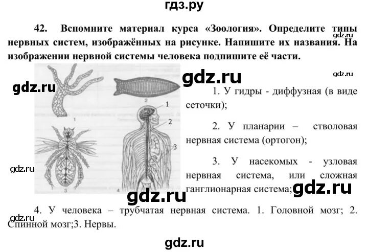 Биология 8 класс рабочая тетрадь с дельфином. Гдз по биологии 8 класс Сонин. Конспект по биологии 8 класс Сонин. Материал по биологии за 8 класс. Биология 8 класса задания и решения.