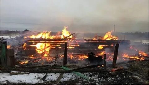 Пожар в горицах
