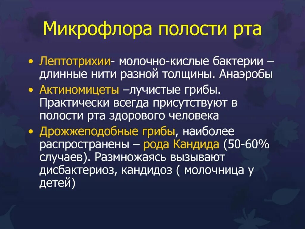 Лептотрикс лечение. Лептотрихии. Лептотрихии микробиология. Лептотрихии (род Leptotrichia). Лептотрихии таксономия.