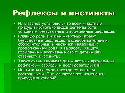 Инстинкты у детей