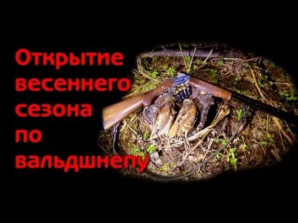Открытие весеннего