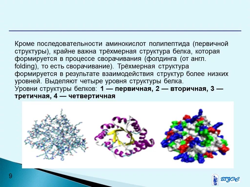 Образование биополимеров последовательность. Четвертичная структура молекулы белка формируется. четвертичная структура белка образуется в результате. четвертичная структура белка образуется в результате взаимодействия. химическое строение биополимеров.