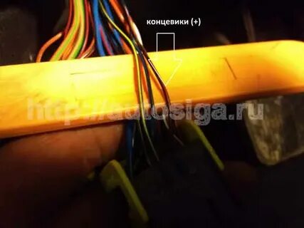 Фокус 3 точки подключения сигнализации
