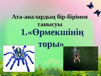 Шәует өрмекші торы сияқты