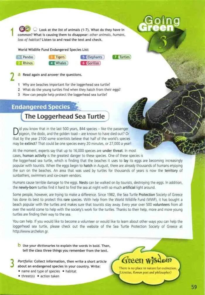 Why are beaches important for the loggerhead. Перевод текста endangered species. endangered species the loggerhead sea turtle краткий пересказ текста. переводчик turtle. the loggerhead sea turtle перевод текста.