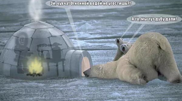 Анекдоты про чукчу. Анекдоты про чукчу самые смешные. Чукча умный. Чукча чукча анекдот про чукчу. Чукча умный.