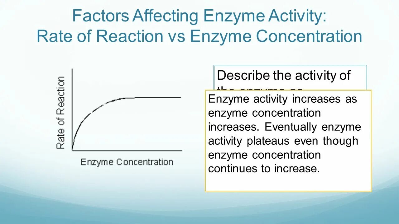 Enzyme activity. Enzyme activity Formula. Factors affecting the Reaction rate. Analysis of Enzymatic activity. Activity rate