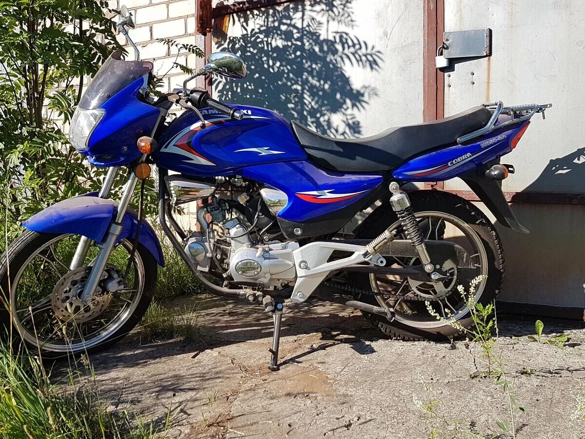 мопед дельта (delta) 50. альфа ягуар блэк 110. атлант 50сс мопед. новый мопед альфа. мопед ямасаки кобра.