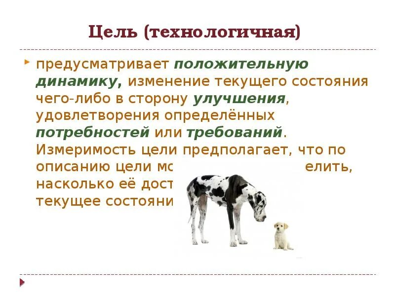 Социальные риски. Словосочетание со словом кто либо. Искусственное зарождение жизни. Божественная теория происхождения жизни. Предполагаемые гипотезы;.