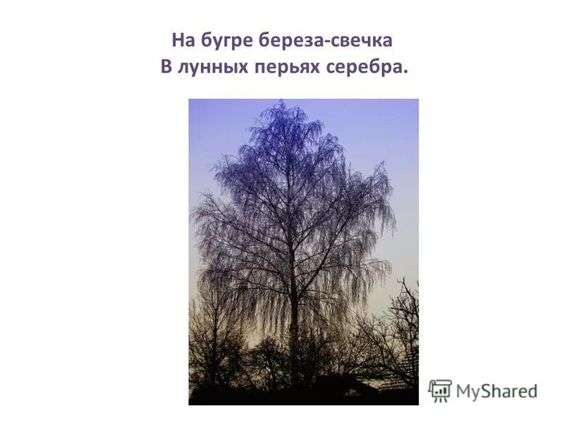 Темна ноченька не спится есенин. Полное собрание лирики есенин. Стихи есенина про ромашки. Есенинские стихи о деревне. Есенин село стих.