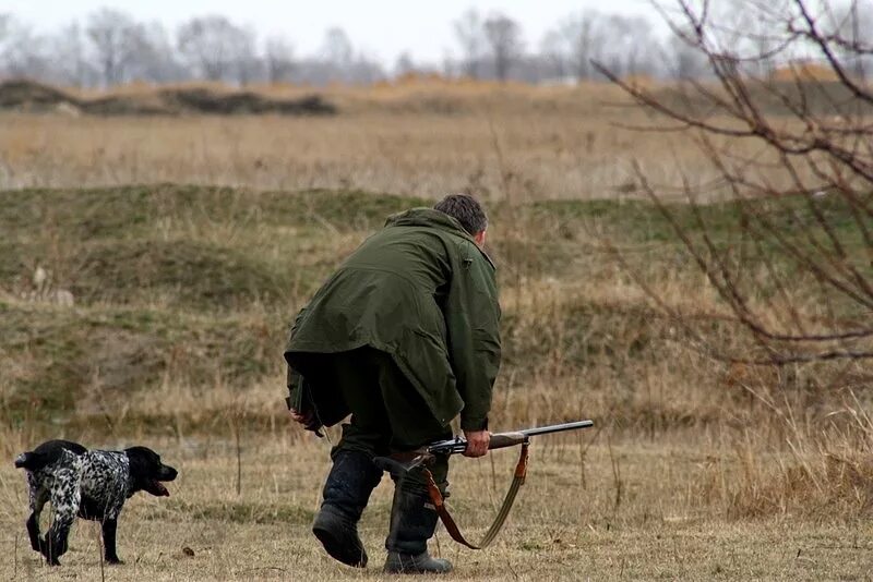 Охота иллюстрации. За ними пришли охотники но они сбежали. Мужик убегает от медведя. Охотник. Медведь карикатура.