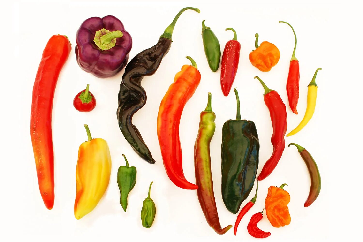What does pepper not mention