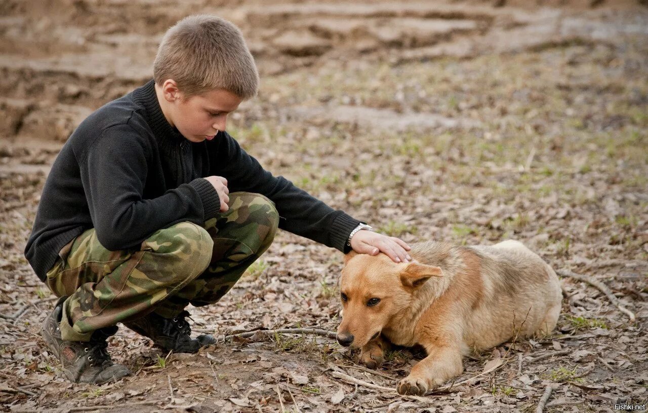 Сострадание окружающим. Милосердие к животным. Доброта к животным. Доброта и сострадание. Добрые поступки.