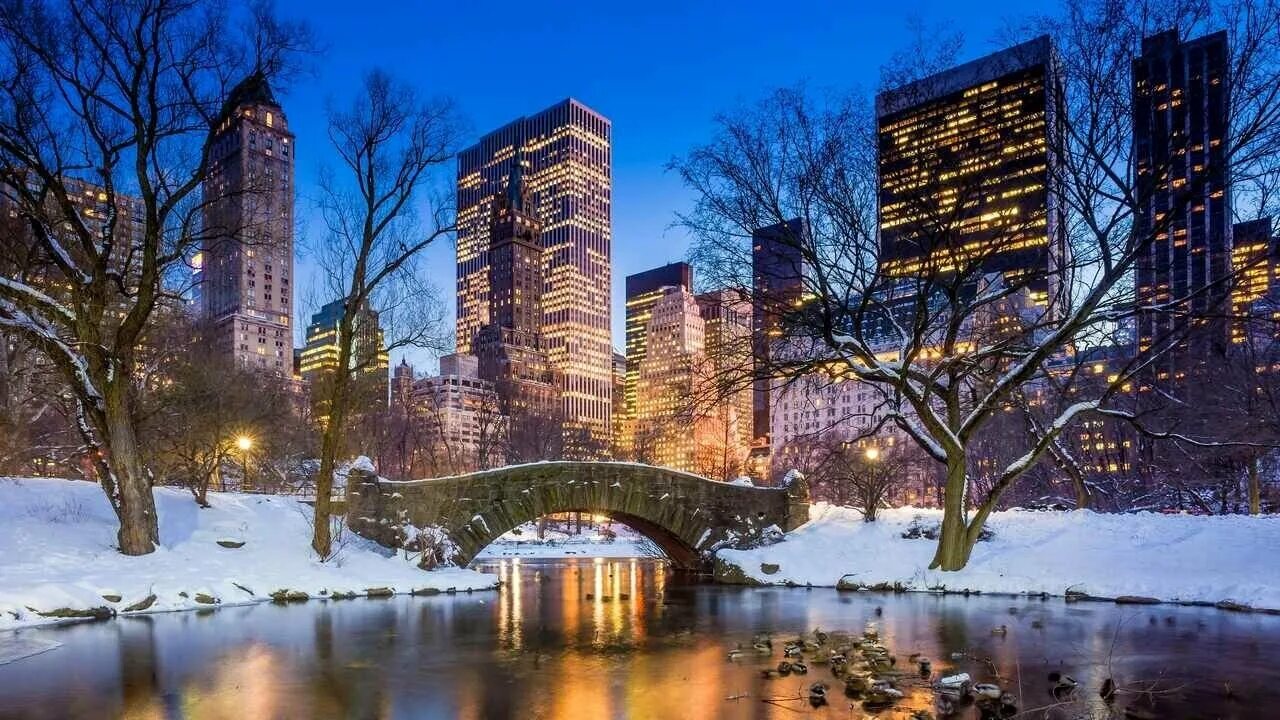 35 Winter Wonderlands Around the World New york weihnachten, New york winter, Ce
