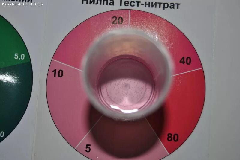 Аммиака нитритов нитратов. Нитраты в питьевой воде. Определение нитритов в воде. Определение нитратов в воде. Повышенные нитраты в воде.