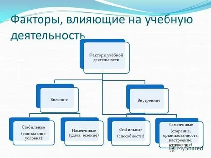 Основные факты деятельности