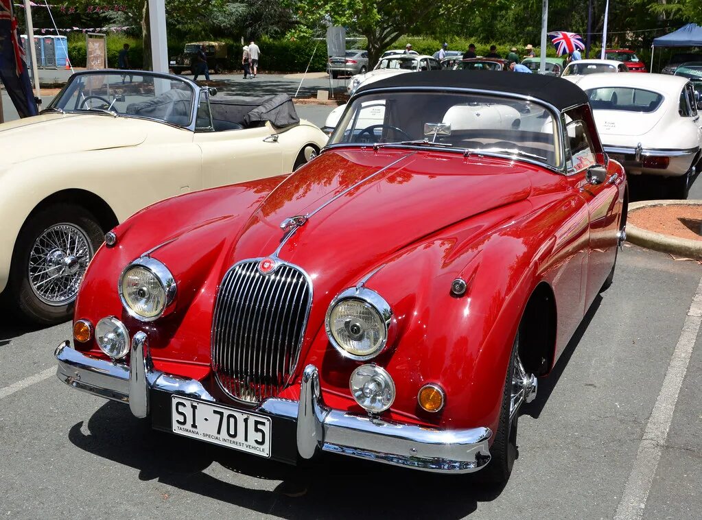 Jaguar 1953. Ягуар красный 1953. Марка машины 1953. Великобритании машины марки Ягуар.