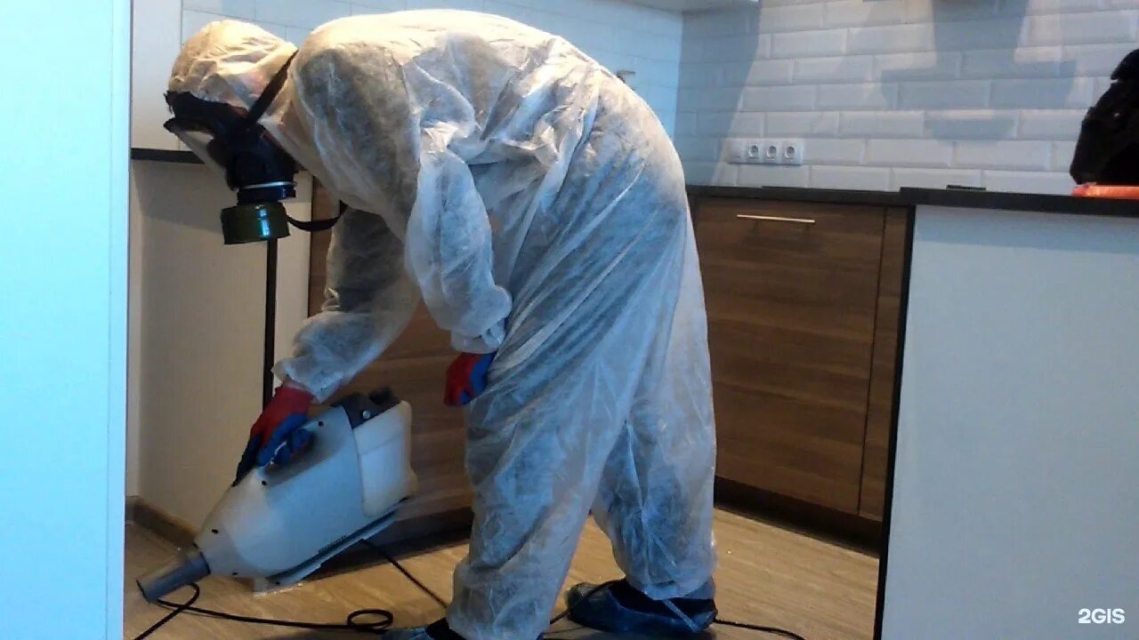 Дезинфекция дезинсекция дератизация. Дезинсекция. Как вызвать сэс для уничтожения клопов в квартире спб. Разложение задачи на подзадачи. Уничтожение насекомых пермь.