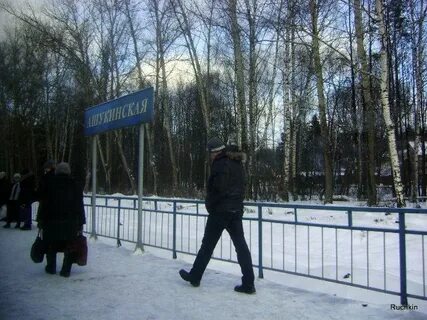 Погода на завтра в ашукино московской