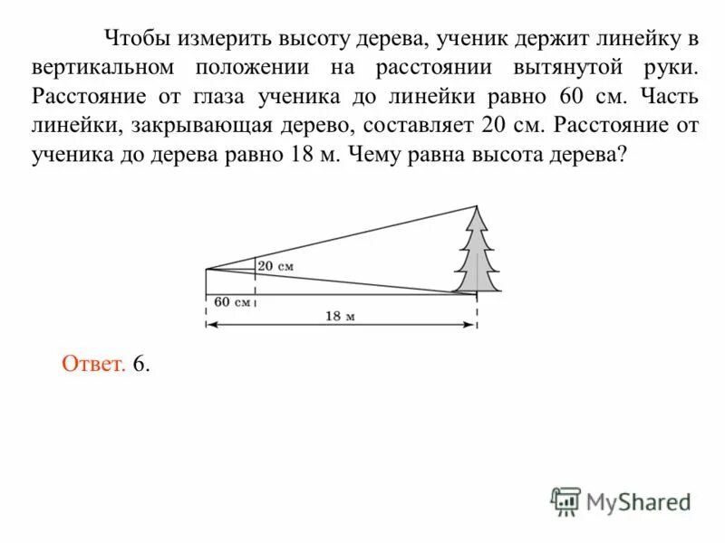 Вижу на расстоянии 20 см. Измерение высоты дерева. Определить высоту дерева. Линейка для измерения высоты деревьев. Измерение высоты дерева с помощью линейки.