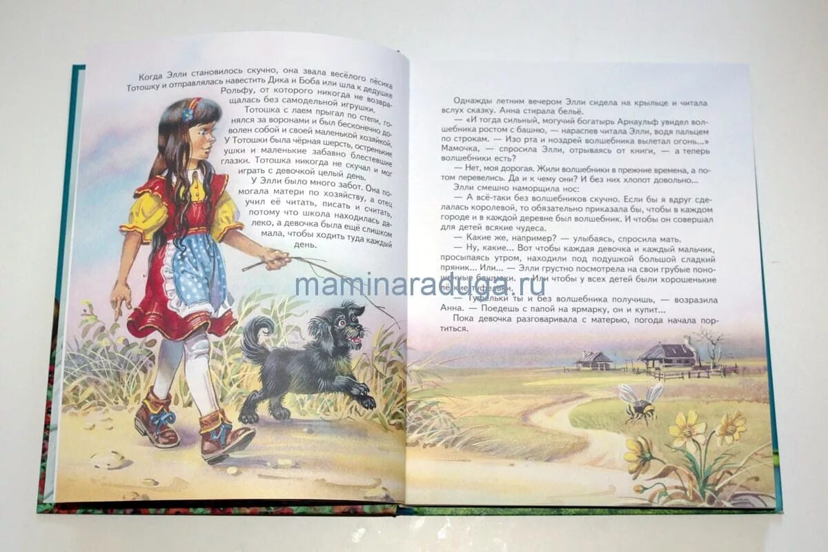 фамилия элли что шла к гудвину