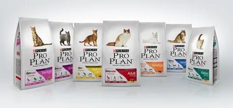 Корма для котят проплан отзывы
