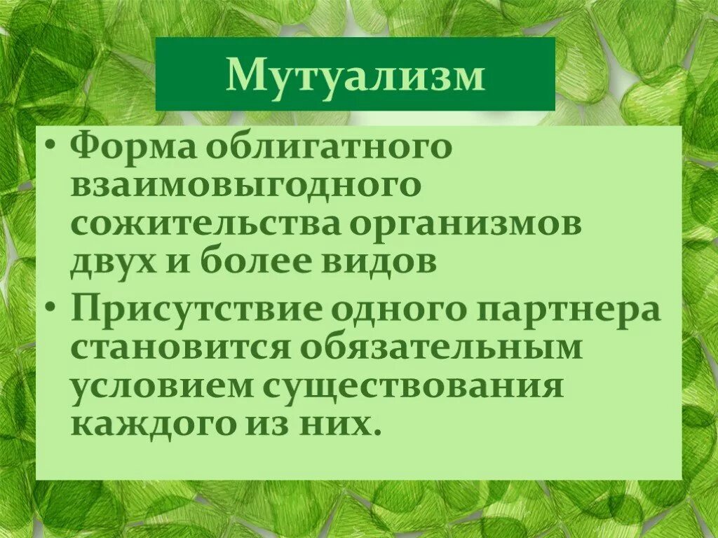 Мутуализм форма взаимоотношений. Факультативный мутуализм. Мутуализм: понятие. Примеры. Мутуализм взаимовыгодное сожительство.