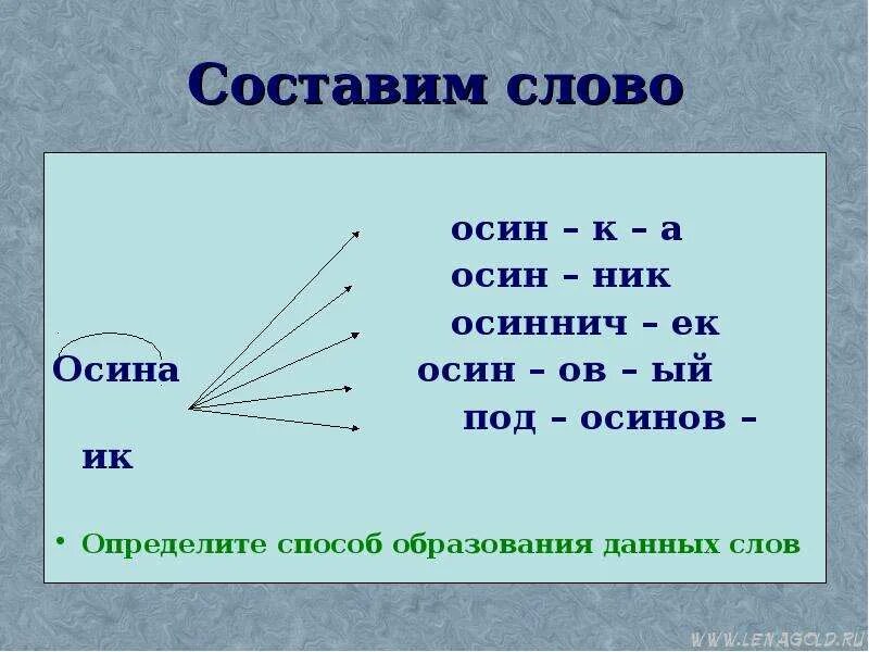 Осина составить предложение. Предложение со словом осина. Осина подбор однокоренных слов. Придумай предложение осины.