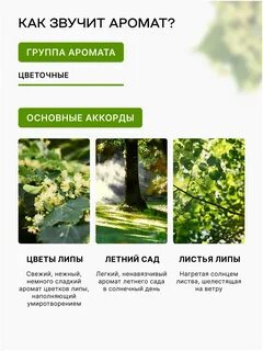 Песня свежий запах лип