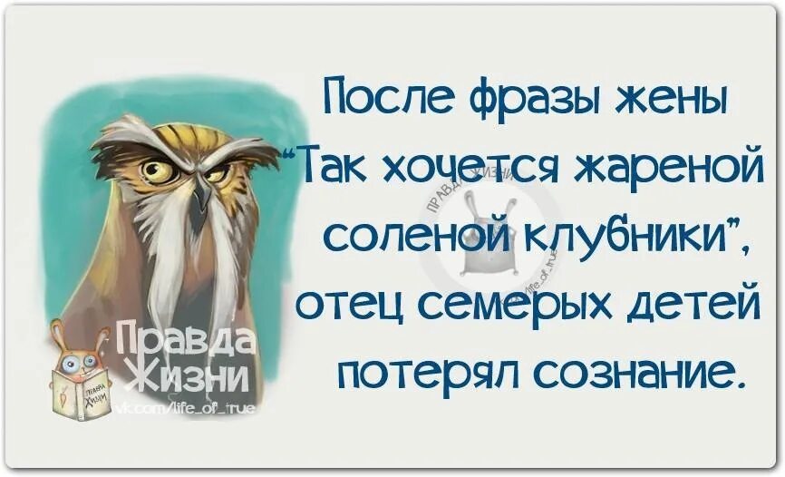 Новенькие фразы. Новенькие фразы. Новенькие фразы. Новенькие фразы. Прикольные фразы.