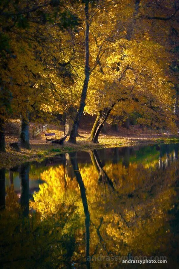 By autumn i