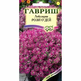 Гавриш