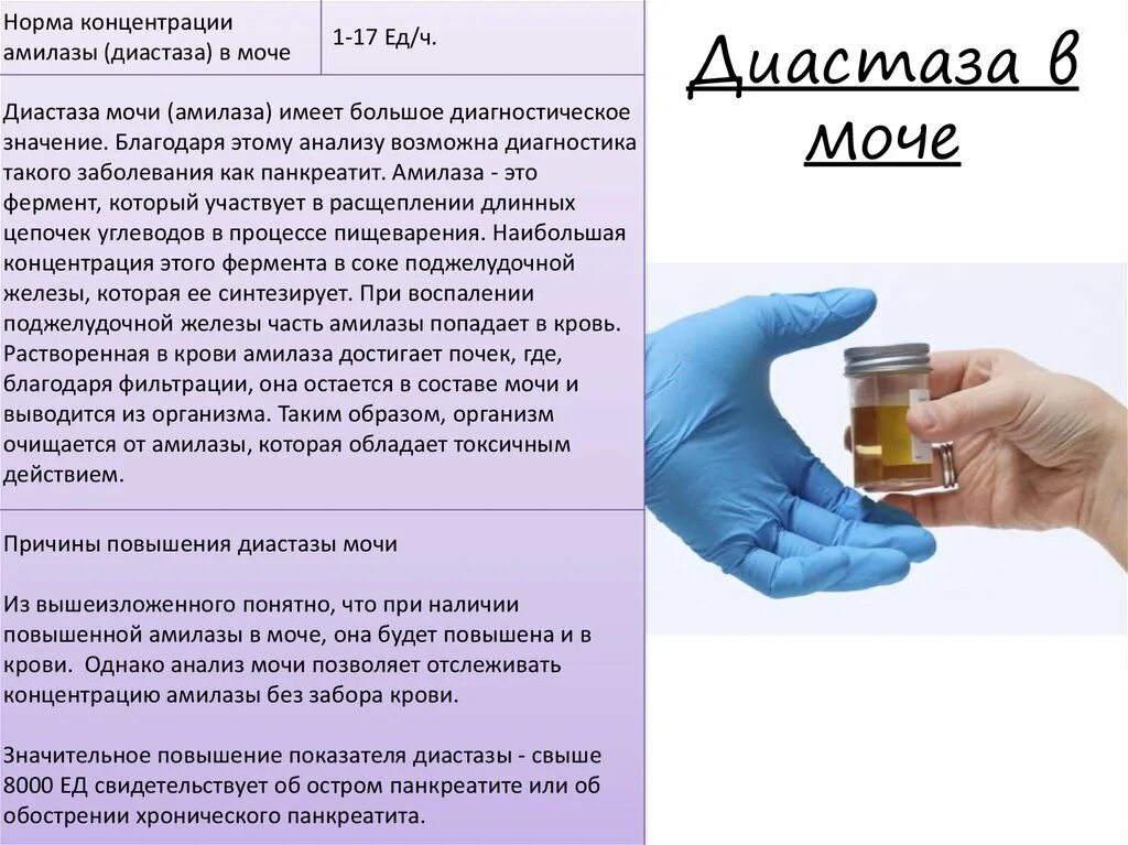 Как сдать тест на мочу