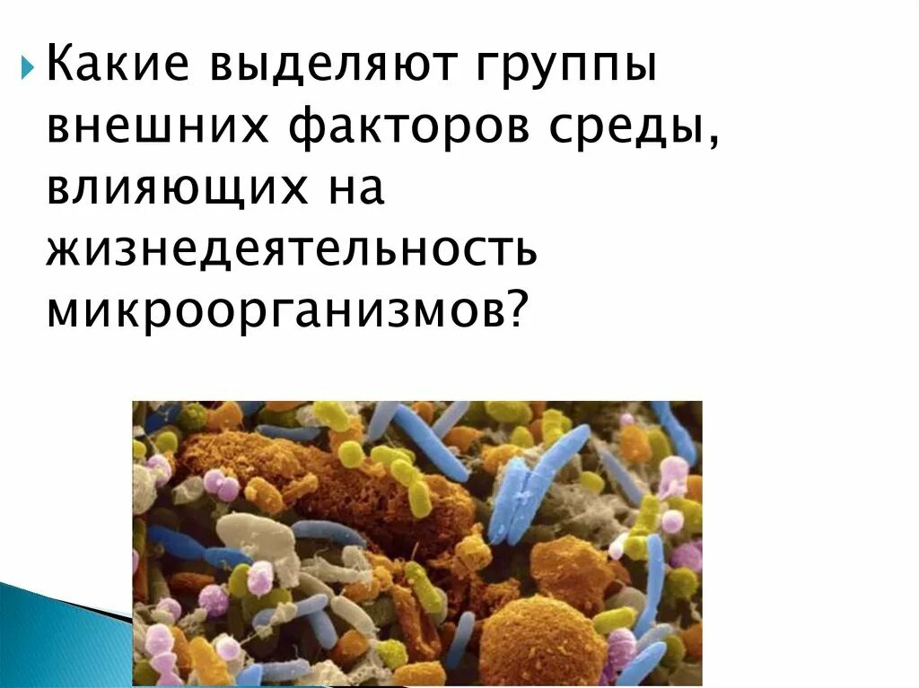 Какие функции выполняют бактерии в организме человека. Влияние физических факторов внешней среды на микроорганизмы. Влияние факторов внешней среды на микроорганизмы. 5. Влияние факторов внешней среды на микроорганизмы. Влияние факторов внешней среды на микроорганизмы таблица.