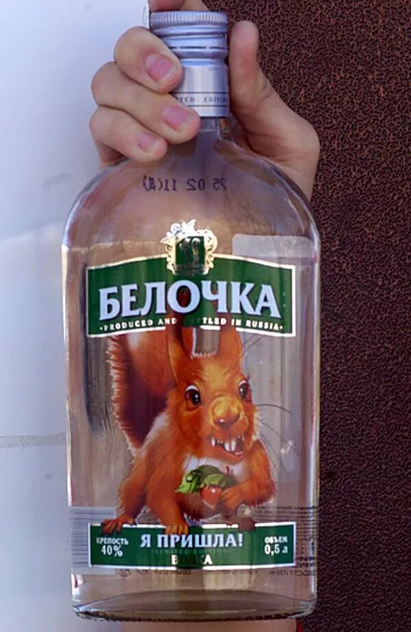 Когда приходит белочка от пьянки. Белочка пришла. белочка я пришла.