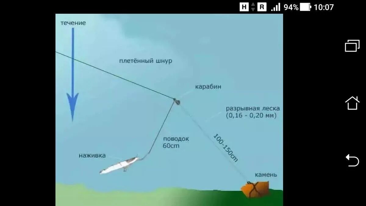 Снасть на ловлю с берега. Как сделать донную снасть на сома. Схема оснастки на сома. Ловля сома на донку монтаж. Как ставить снасть на сома.