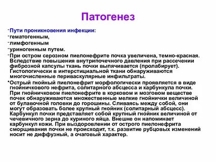Пути пиелонефрита