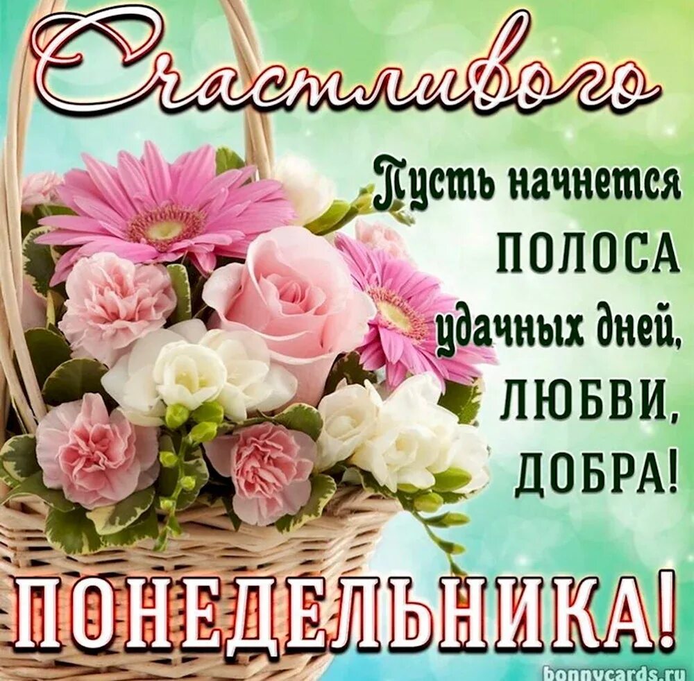 Поздравления с хорошим настроением. С добрым утром цветы красивые. Открытки с понедельником прикольные. Открытки с добрым понедельником и добрым утром. Поздравление с понедельником.